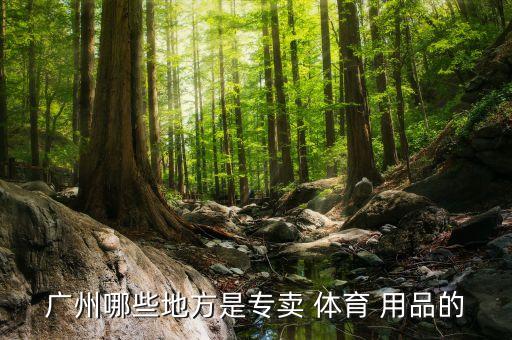 广州哪些地方是专卖 体育 用品的