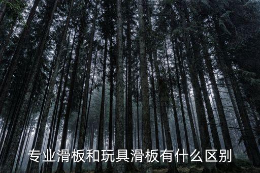 专业滑板和玩具滑板有什么区别