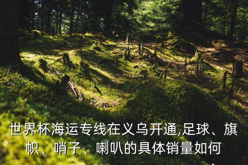 世界杯海运专线在义乌开通,足球、旗帜、哨子、喇叭的具体销量如何