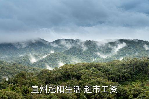 宜州冠阳生活 超市工资
