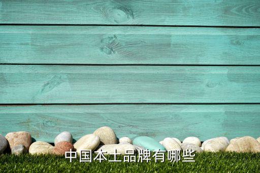 中国本土品牌有哪些