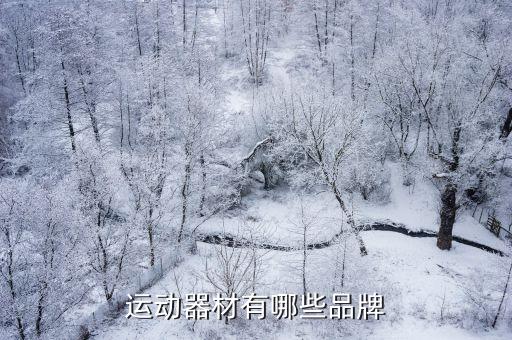 运动器材有哪些品牌