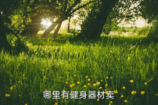 哪里有健身器材卖
