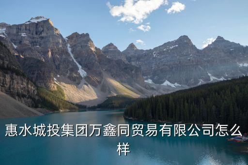 惠水城投集团万鑫同贸易有限公司怎么样