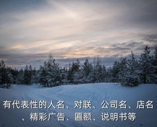 有代表性的人名、对联、公司名、店名、精彩广告、匾额、说明书等