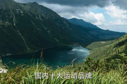 国内十大运动品牌