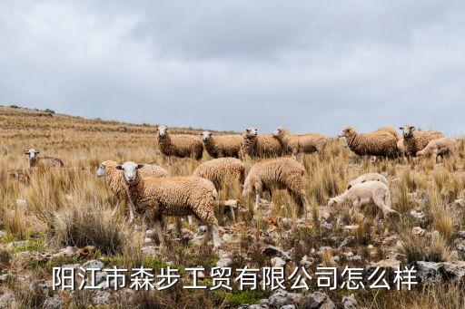 阳江品牌体育用品,阳江新特体育用品有限公司