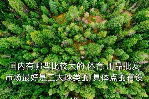 国内有哪些比较大的 体育 用品批发市场最好是三大球类的!具体点的有没...