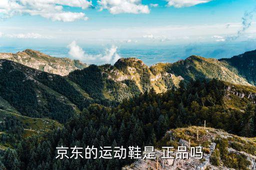  京东的运动鞋是 正品吗