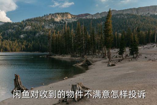  闲鱼对收到的物件不满意怎样投诉