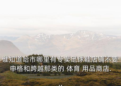 哈尔滨体育用品市场在哪