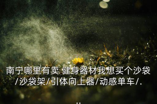 南宁哪里有卖 健身器材我想买个沙袋/沙袋架/引体向上器/动感单车/...