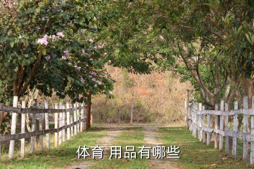 球是体育用品吗,什么球不能打 体育用品
