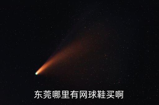 东莞哪里有网球鞋买啊