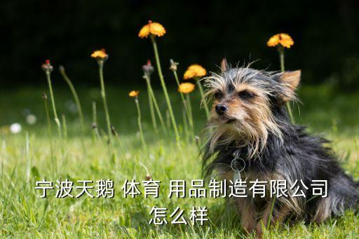  宁波天鹅 体育 用品制造有限公司怎么样
