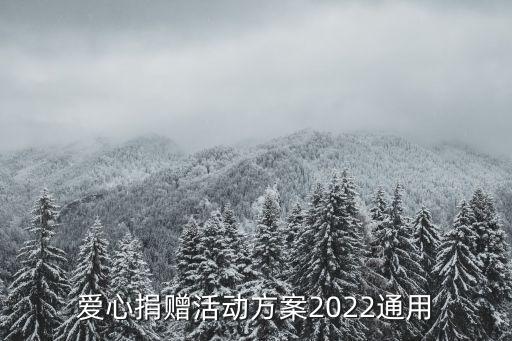 爱心捐赠活动方案2022通用