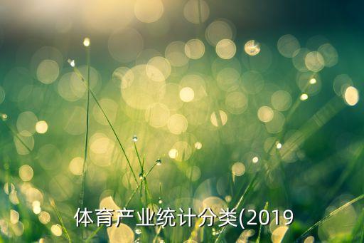  体育产业统计分类(2019