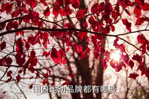 国内运动品牌都有哪些