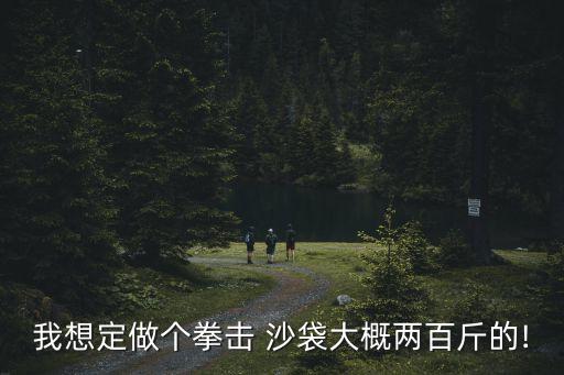 我想定做个拳击 沙袋大概两百斤的!
