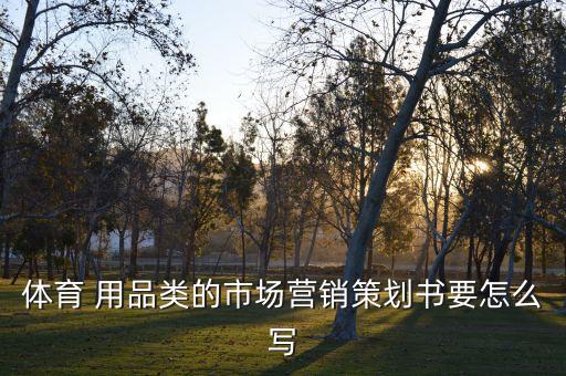 体育 用品类的市场营销策划书要怎么写