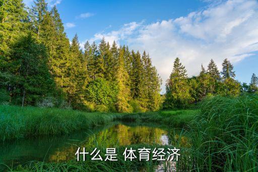 什么是 体育经济