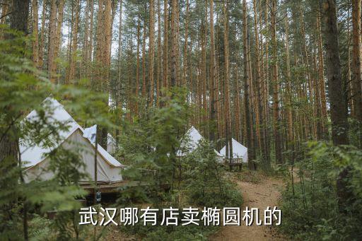 武汉哪有店卖椭圆机的
