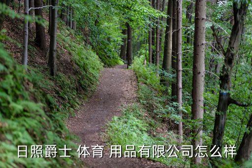 山东东升体育用品批发,日东升体育用品制造公司