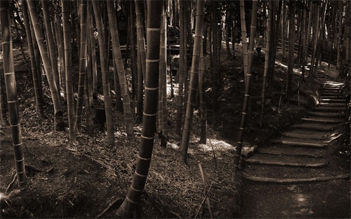 登山护具有哪些,南方雨季来袭必备登山装备和器材